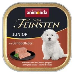 Animonda Vom Feinsten Junior Geflügelleber